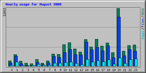Hourly usage for August 2008